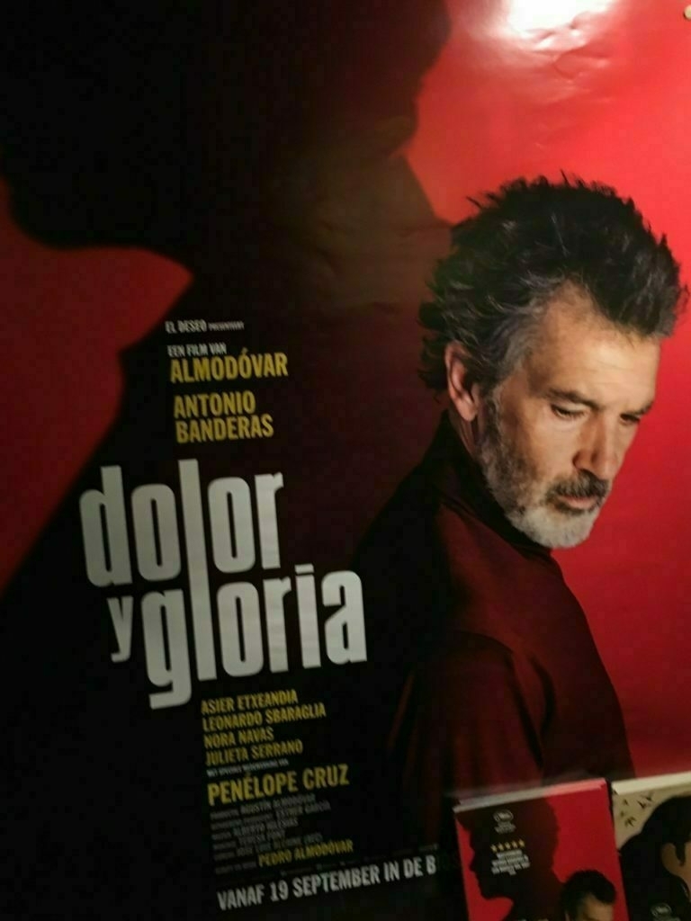 Filmposter van de film Dolor y Gloria