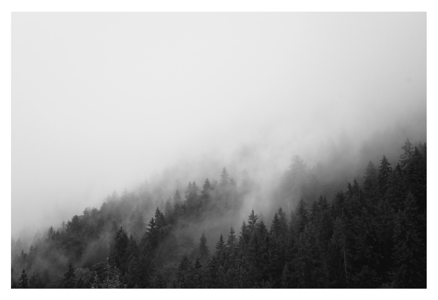 Moody black and white photo of a misty mountain