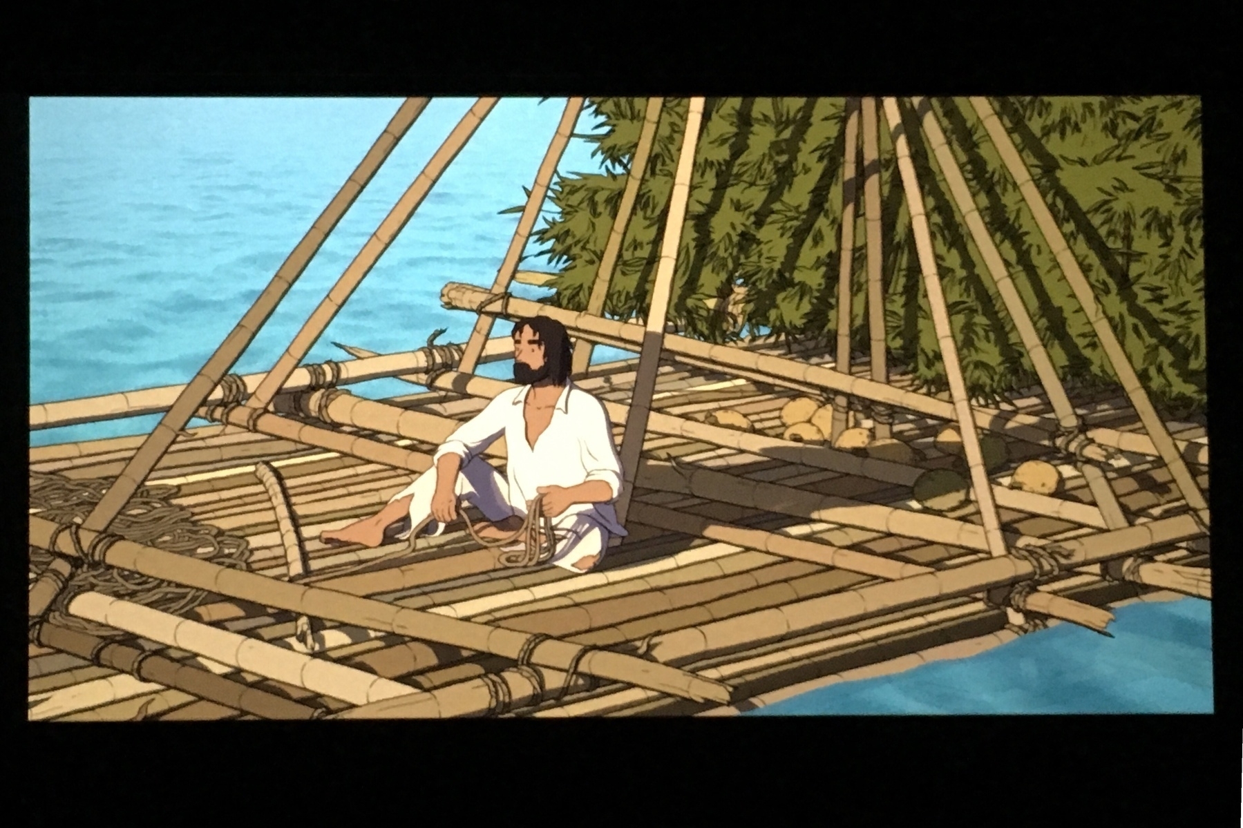 Shot from The Red Turtle film